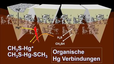 Supertoxins 7e6d981a
