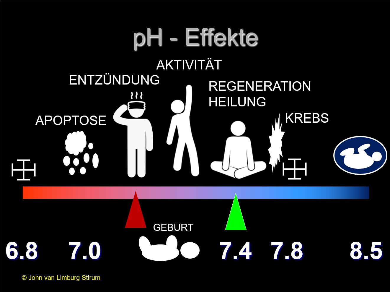PH Effekte